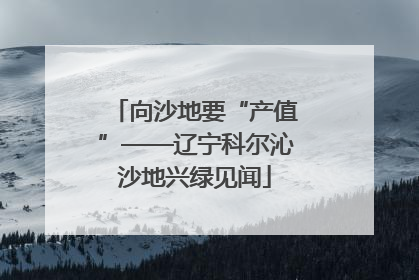 向沙地要“产值”——辽宁科尔沁沙地兴绿见闻