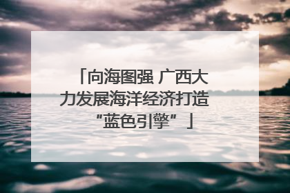 向海图强 广西大力发展海洋经济打造“蓝色引擎”