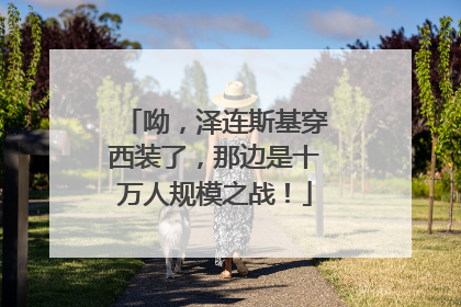 呦，泽连斯基穿西装了，那边是十万人规模之战！