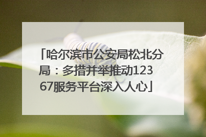 哈尔滨市公安局松北分局：多措并举推动12367服务平台深入人心