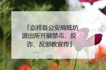 嘉祥县公安局纸坊派出所开展禁毒、反诈、反邪教宣传