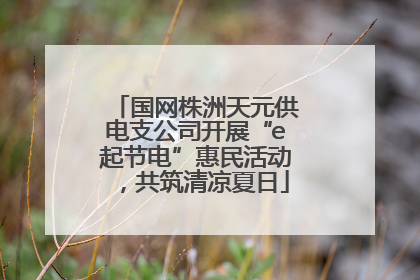 国网株洲天元供电支公司开展“e起节电”惠民活动，共筑清凉夏日