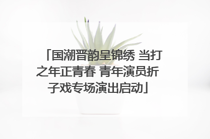 国潮晋韵呈锦绣 当打之年正青春 青年演员折子戏专场演出启动