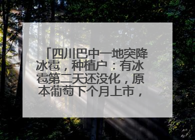 四川巴中一地突降冰雹，种植户：有冰雹第二天还没化，原本葡萄下个月上市，现在全被打落