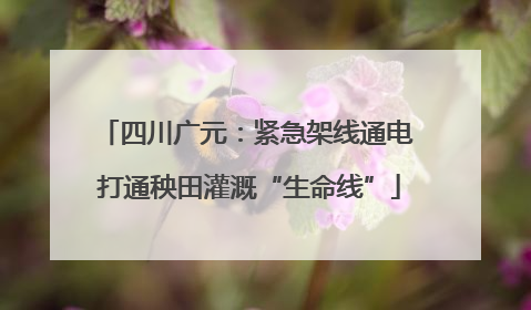 四川广元：紧急架线通电 打通秧田灌溉“生命线”