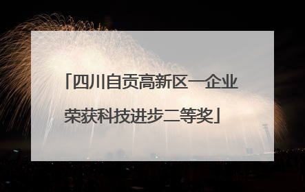 四川自贡高新区一企业荣获科技进步二等奖