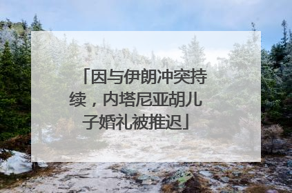 因与伊朗冲突持续，内塔尼亚胡儿子婚礼被推迟