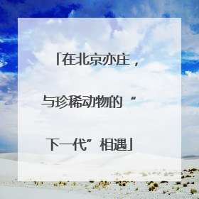 在北京亦庄，与珍稀动物的“下一代”相遇