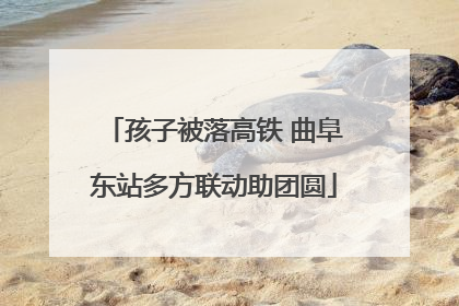 孩子被落高铁 曲阜东站多方联动助团圆