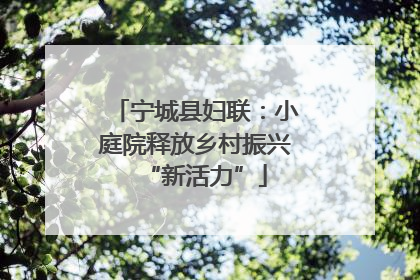 宁城县妇联：小庭院释放乡村振兴“新活力”