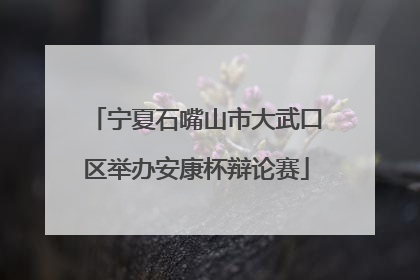 宁夏石嘴山市大武口区举办安康杯辩论赛