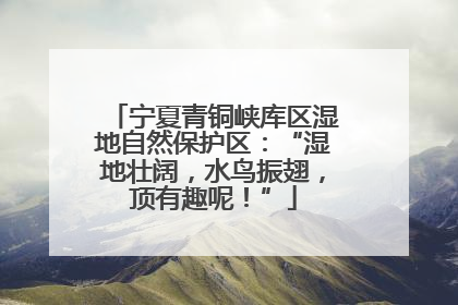 宁夏青铜峡库区湿地自然保护区：“湿地壮阔，水鸟振翅，顶有趣呢！”