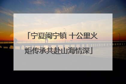 宁夏闽宁镇 十公里火炬传承共赴山海情深