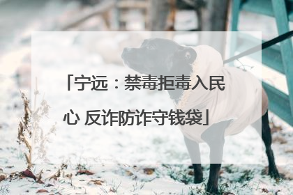 宁远：禁毒拒毒入民心 反诈防诈守钱袋