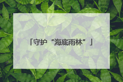 守护“海底雨林”