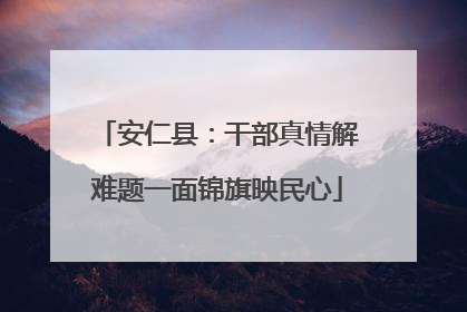 安仁县：干部真情解难题一面锦旗映民心