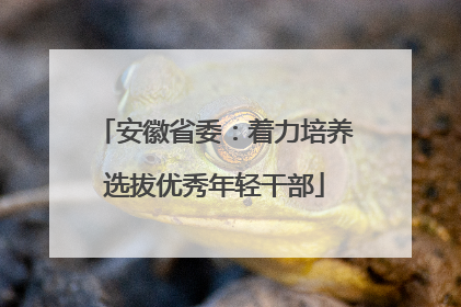 安徽省委：着力培养选拔优秀年轻干部