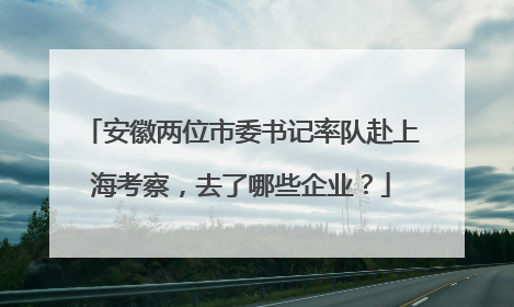 安徽两位市委书记率队赴上海考察，去了哪些企业？