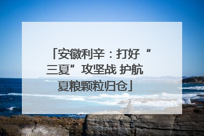 安徽利辛：打好“三夏”攻坚战 护航夏粮颗粒归仓