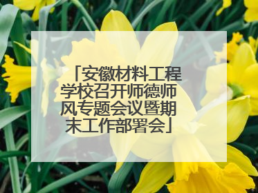 安徽材料工程学校召开师德师风专题会议暨期末工作部署会