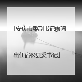 安庆市委副书记廖强出任宿松县委书记
