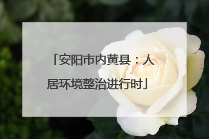 安阳市内黄县：人居环境整治进行时