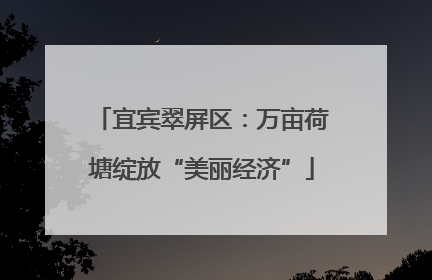 宜宾翠屏区：万亩荷塘绽放“美丽经济”