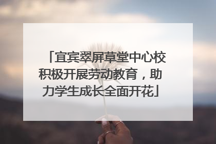 宜宾翠屏草堂中心校积极开展劳动教育，助力学生成长全面开花