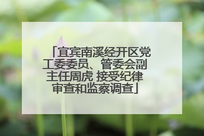 宜宾南溪经开区党工委委员、管委会副主任周虎 接受纪律审查和监察调查