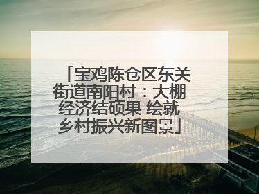 宝鸡陈仓区东关街道南阳村：大棚经济结硕果 绘就乡村振兴新图景