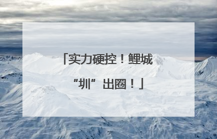 实力硬控！鲤城“圳”出圈！