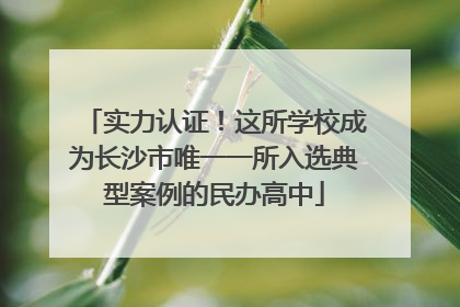 实力认证！这所学校成为长沙市唯一一所入选典型案例的民办高中