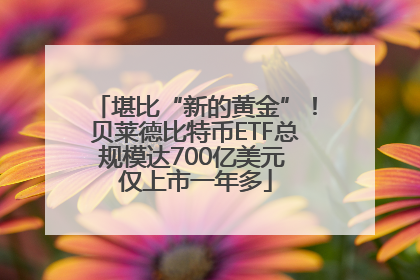堪比“新的黄金”！贝莱德比特币ETF总规模达700亿美元 仅上市一年多