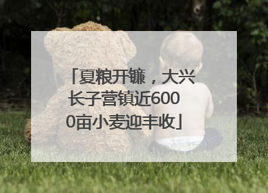 夏粮开镰，大兴长子营镇近6000亩小麦迎丰收