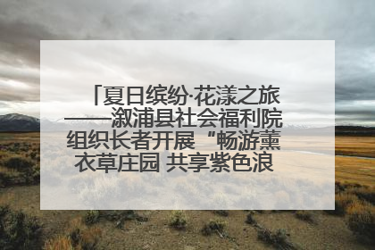 夏日缤纷·花漾之旅——溆浦县社会福利院组织长者开展“畅游薰衣草庄园 共享紫色浪漫”户外活动