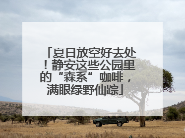 夏日放空好去处！静安这些公园里的“森系”咖啡，满眼绿野仙踪