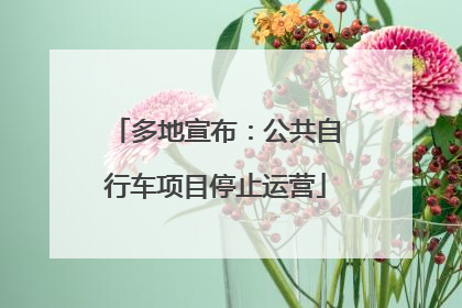多地宣布：公共自行车项目停止运营