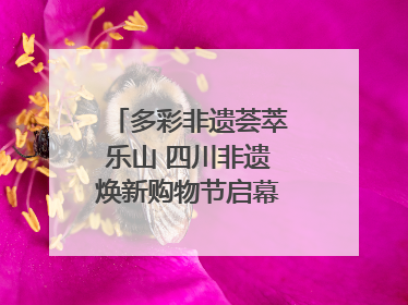 多彩非遗荟萃乐山 四川非遗焕新购物节启幕｜镜观四川