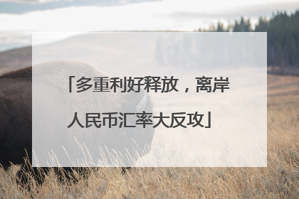多重利好释放，离岸人民币汇率大反攻
