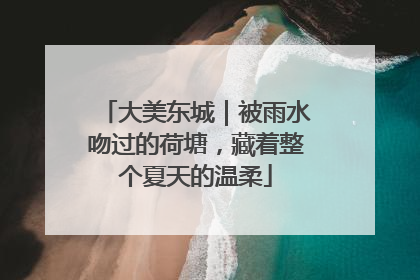 大美东城｜被雨水吻过的荷塘，藏着整个夏天的温柔