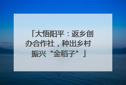大悟阳平：返乡创办合作社，种出乡村振兴“金稻子”