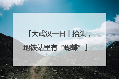 大武汉一日丨抬头，地铁站里有“蝴蝶”