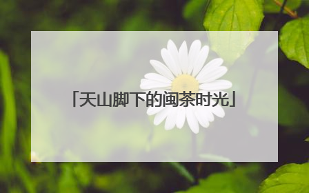 天山脚下的闽茶时光