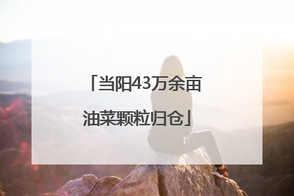 当阳43万余亩油菜颗粒归仓