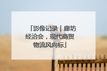 影像记录｜廊坊经洽会，现代商贸物流风向标