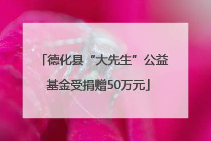 德化县“大先生”公益基金受捐赠50万元