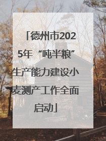 德州市2025年“吨半粮”生产能力建设小麦测产工作全面启动