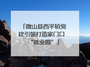 微山县西平镇党建引领打造家门口“就业圈”