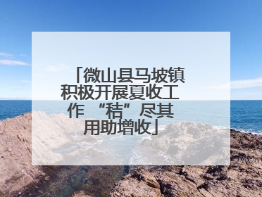 微山县马坡镇积极开展夏收工作 “秸”尽其用助增收