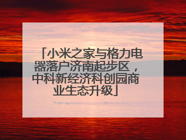 小米之家与格力电器落户济南起步区，中科新经济科创园商业生态升级